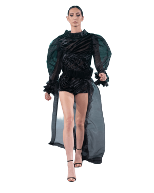 Regal Appeal Silk Organza Top and Mini Skirt Matching Set