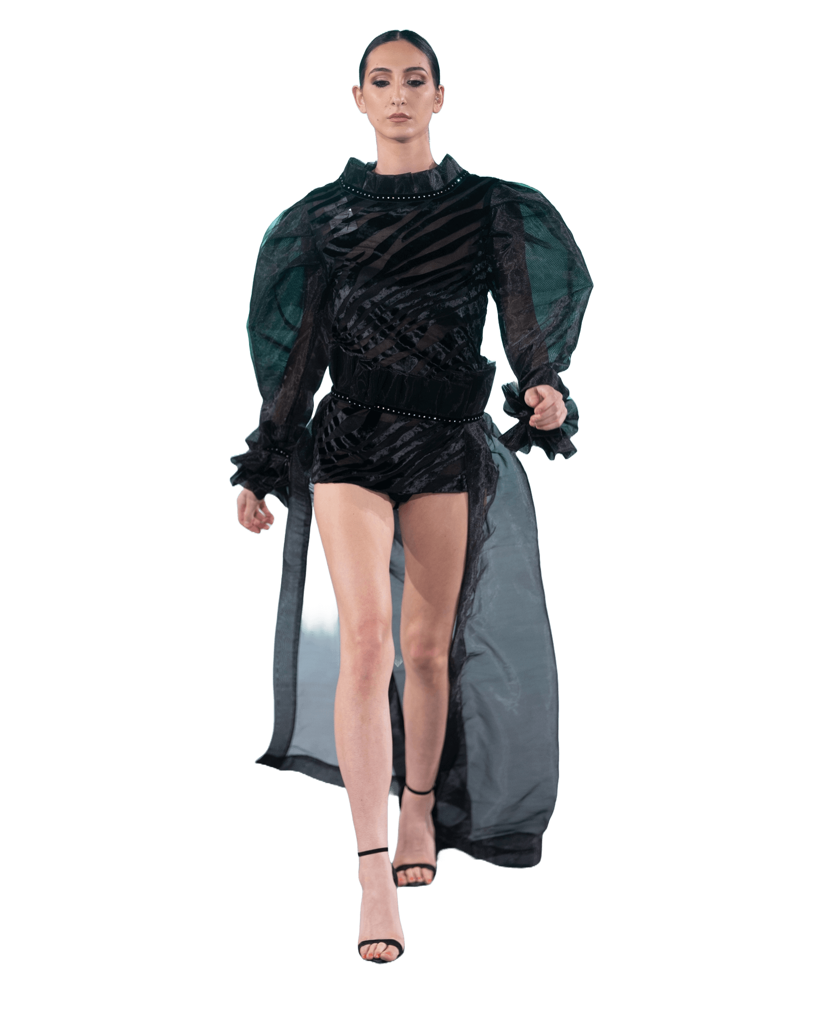 Regal Appeal Silk Organza Top and Mini Skirt Matching Set