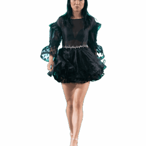 Perfected Glamour Silver Waist Trim Black Organza Mini Dress